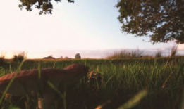 唯美风景视频,探寻唯美风景视频中的绝美瞬间